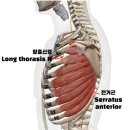 두류헬스 이미지