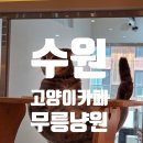 무릉냥원 네이버블로그