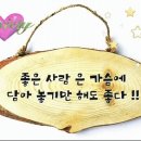 내청춘을 돌려다오 이미지