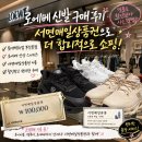 매일유통 | 롯데백화점 부산본점 로에베 온러닝 구매 : 서면매일유통 이용 후기