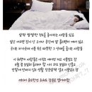 취향의온도