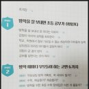 스스로 메타인지 책놀이 이미지