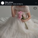 릴리엔(lilien)