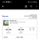 어림향 이미지