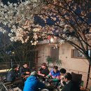 당달 아카데미 이미지