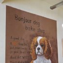 봉쥬르도그베이크샵 이미지