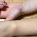 나 집에 20살 두고다니는데 대졸하라고?