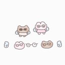 천사안경 이미지