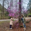 진달래약수터 이미지