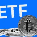 美 비트코인 ETF, 5억4000만 달러 순유출…역대 두 번째 규모 이미지