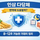 인삼 다당체