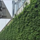 오현로9길 이미지