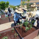 밀양아리솔학교 이미지