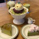 천안카페 노트밀 녹차 말차디저트 강추 후기(말차 바스크 치즈케이크, 말차팥빙수, 말차라떼)