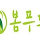 봄푸드 이미지