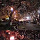 동광로19길 19 이미지