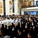 천주교삼성동성당 앞 이미지