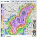 지금 서울 비오는 지역 (전국에 호우 특보 + 폭염 특보) 이미지