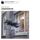 성사로 | 로고스 성사후기