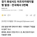 화성양돈2 이미지
