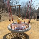 대흥동 유아숲체험원 이미지