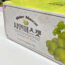 협동농장 | 탱글탱글 싱싱함 + 아삭한 식감 + 자연스러운 단맛까지! 남상주농업협동조합 샤인머스캣 후기