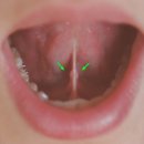 몸바른한의원 이미지