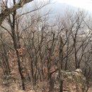 소요동사무소 이미지