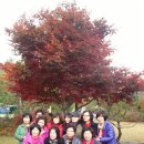 가을여행 이미지