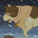 노력의 천재 헬스&PT 이미지