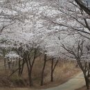 울산어울길제1구간 이미지