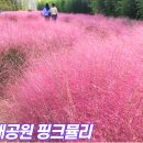 대저생태공원캠핑장 이미지