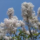 경안여자고등학교 이미지