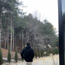 레포레스트(REFOREST) 이미지