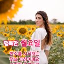 월요일 행운편지 / 황금빛 해바라기꽃 보며 재물과 행운 받아가세요 이미지