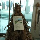 인준농장 이미지