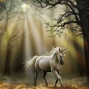 한솔밥상 이미지