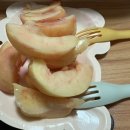 신산1리마을회관 이미지