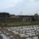 상모리-21 이미지