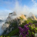 ㈜달성레져 이미지