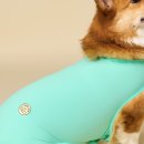 민트도그 이미지