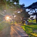 풍산단호로(풍산읍) 네이버블로그