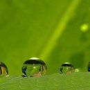 마중가는길 이미지