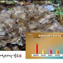 농업회사법인(주)주성 이미지