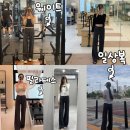기장대로 | 룰루레몬 스로우백 스틸팬츠 글로벌핏 XS 6개월 착용후기