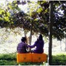 백이산 농장 이미지