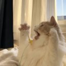 글로리이비인후과의원 이미지