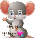 낙동대로 이미지