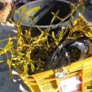 풍기한방삼계탕 이미지