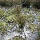 수연목장 이미지